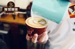 云南精品咖啡豆红龙庄园1887m Project咖啡介绍_云南铁皮卡复兴计