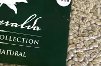 什么是瑰夏咖啡豆 | 巴拿马翡翠庄园瑰夏红标绿标蓝标有什么区别