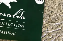 什么是瑰夏咖啡豆 | 巴拿马翡翠庄园瑰夏红标绿标蓝标有什么区别