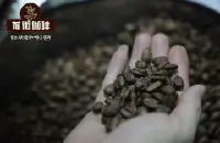 埃塞俄比亚吉玛摩卡咖啡烘焙分析_吉玛摩卡咖啡豆怎么喝？