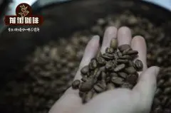 埃塞俄比亚吉玛摩卡咖啡烘焙分析_吉玛摩卡咖啡豆怎么喝？