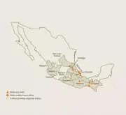 星巴克第 9 个FSC墨西哥的恰帕斯 | 墨西哥咖啡产区风味特点介绍