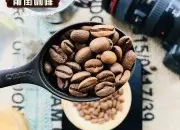 巴拿马玛玛卡特庄园绿顶铁皮卡手冲咖啡粉和水的配比推荐