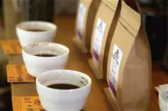 咖啡品鉴|嗅觉对于品鉴咖啡到底有多重要？