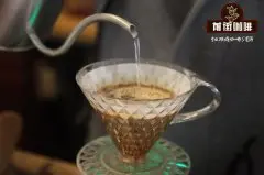 手冲巴西咖啡巴西白桦庄园咖啡豆怎么喝 手冲巴西咖啡用什么滤杯
