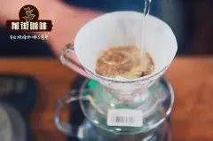 哥伦比亚波顿庄园象豆手冲咖啡技巧分享_手冲象豆用什么滤杯好