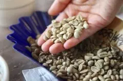咖啡生豆水活性|如何保护咖啡不受过度水活度的影响