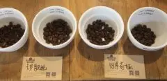肯尼亚咖啡豆深烘与浅烘风味口感特点区别 肯尼亚将咖啡手冲方法介绍