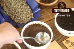 铁皮卡变种蓝山咖啡豆与苏门答腊曼特宁咖啡豆特点风味分级区别