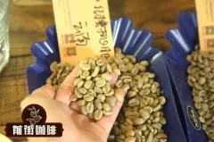 哥斯达黎加咖啡豆 La Minita 征服者 小众庄园咖啡豆介绍
