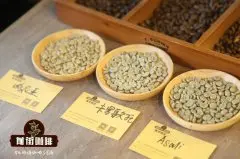 云南小粒咖啡卡蒂姆风味描述 云南咖啡豆手冲怎样冲煮好喝？