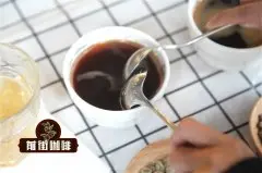 云南咖啡花果山产区精品咖啡豆介绍 云南咖啡有什么精品豆