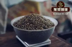 也门咖啡摩卡萨纳尼咖啡豆香气特征 也门咖啡手冲推荐参数