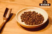 耶加雪菲咖啡豆与阿拉比卡咖啡豆的区别 耶加雪菲咖啡品种介绍