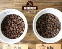 摩卡咖啡有多少种 哈拉尔摩卡咖啡口感风味特点产区产地