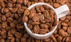 采收咖啡豆主要有三种方法  咖啡樱桃采收
