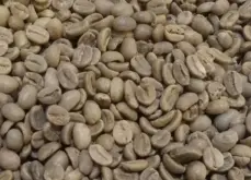 巴拿马哈特曼庄园水洗红酒处理法园卡杜拉咖啡豆风味特点