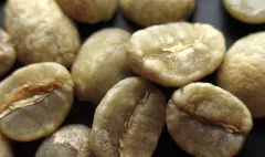 世界五大顶级阿拉比卡咖啡豆产地 肯尼亚咖啡豆手冲单品咖啡风味