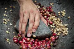 埃塞俄比亚咖啡豆有何特色，咖啡醇厚度要求，日晒和水洗的区别