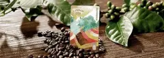 肯尼亚麒麟雅嘉Kirinyaga什么咖啡 肯尼亚麒麟雅嘉咖啡风味描述