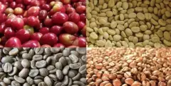 肯尼亚咖啡产区祈安布咖啡豆风味特点 肯尼亚祈安布咖啡豆等级
