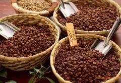 巴西米纳斯吉拉斯州咖啡豆产区 米纳斯吉拉斯州咖啡风味特点味道