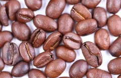 墨西哥咖啡豆华图司科（Huatusco）产区风味描述口感特点