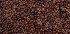 塔潘楚拉是什么咖啡 墨西哥塔潘楚拉Tapanchula咖啡豆风味特点