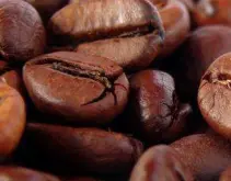 墨西哥利基丹巴尔咖啡豆口感 利基丹巴尔Liquidambar MS咖啡风味