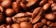 巴拿马咖啡博克特产区咖啡风味描述 咖啡口味的区别