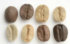 秘鲁咖啡产地查西马约Chanchamayo咖啡口感风味怎么描述