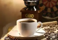 哥斯达黎加著名咖啡豆风味 多塔Dota产区咖啡口感特点冲煮介绍