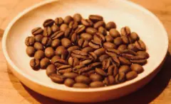 印度卡纳塔卡邦咖啡品种风味怎么描述 卡纳塔卡邦咖啡豆口感