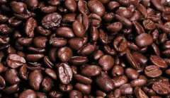 印度东南部泰米纳德Tamil Nadu咖啡介绍 咖啡品牌风味口感