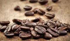 多米尼加咖啡中央山区锡瓦奥产区高地咖啡品种口感特点