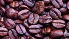 安哥拉有什么咖啡 安哥拉安巴利姆Amborm咖啡品质怎么样