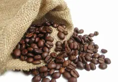 安哥拉种植咖啡历史 安哥拉新里东杜Novo Redondo咖啡品种产量