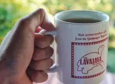 加拉帕戈斯咖啡风味口感描述 加拉帕戈斯位置咖啡品质如何