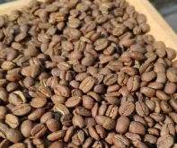 哥伦比亚安蒂奥基亚省Antioquia 咖啡品尝与风味口感描述