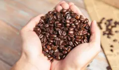 巴西阿拉比卡咖啡价格昂贵的原因 阿拉比卡咖啡豆口感好吗？