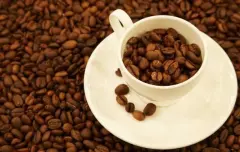猫屎咖啡的由来 麝香猫咖啡的产地是哪里 麝香猫吃咖啡豆图片