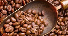 肯尼亚埃尔贡山咖啡豆怎么样 北欧咖啡豆烘豆冠军介绍