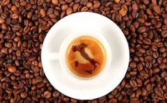 安哥拉咖啡ginga咖啡是不是黑咖啡 安哥拉哪个牌子咖啡好