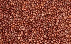 玻利维亚咖啡豆产区玻利维亚咖啡豆的香味 玻利维亚咖啡豆风味