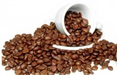 巴拿马庄园咖啡生豆处理方法介绍 巴拿马咖啡的采收期是几月