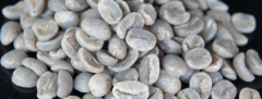 马拉威Malawi咖啡文化：马拉威Malawi咖啡品种有哪些