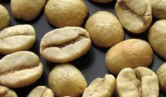 肯尼亚咖啡是多年生植物吗?咖啡栽培土壤条件 肯尼亚豆类加工方法