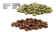 哪种豆类价格最贵 肯尼亚咖啡圆豆在哪里购买 肯尼亚咖啡圆豆口感