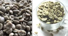 巴拿马咖啡庄园 Lerida蕾丽达庄园咖啡生豆性价比 咖啡生豆价格