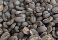 埃塞俄比亚耶加雪菲查奥巴Chelba G1咖啡生豆精选日晒咖啡价格